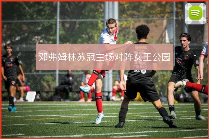 邓弗姆林苏冠主场对阵女王公园