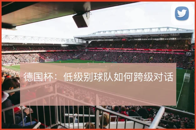 德国杯：低级别球队如何跨级对话
