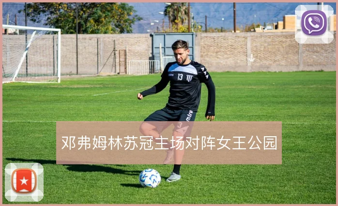 邓弗姆林苏冠主场对阵女王公园
