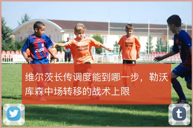 维尔茨长传调度能到哪一步,勒沃库森中场转移的战术上限